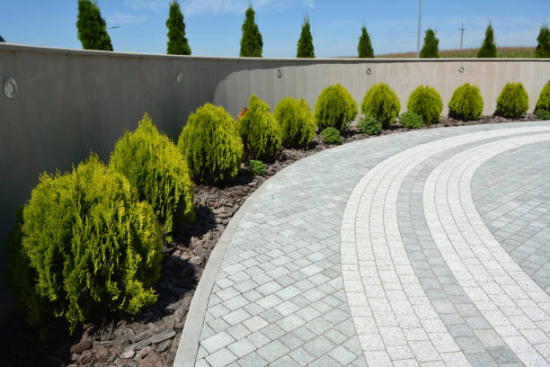 Reasons to Select Us for Your Driveway Paving Requirements in Salmon Creek, WA