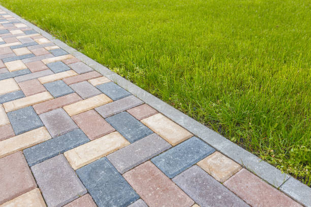 Best Driveway Pavers Near Me  in Salmon Creek, WA